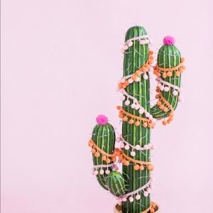 Meet your Posher, Ani